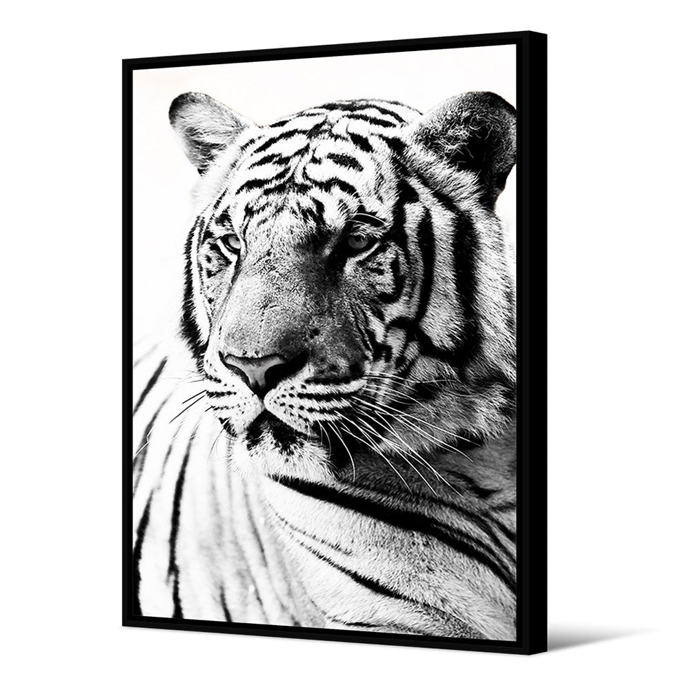 Pintura del tigre
