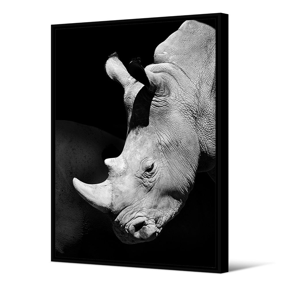 Pintura De Rinoceronte