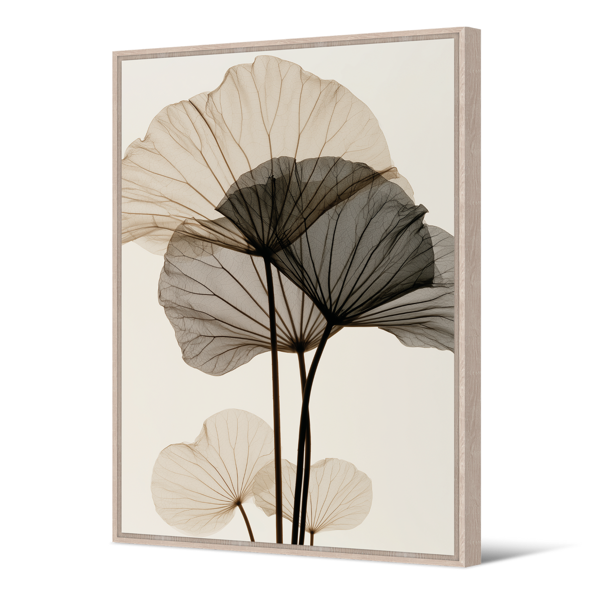 Tableau Nelumbo
