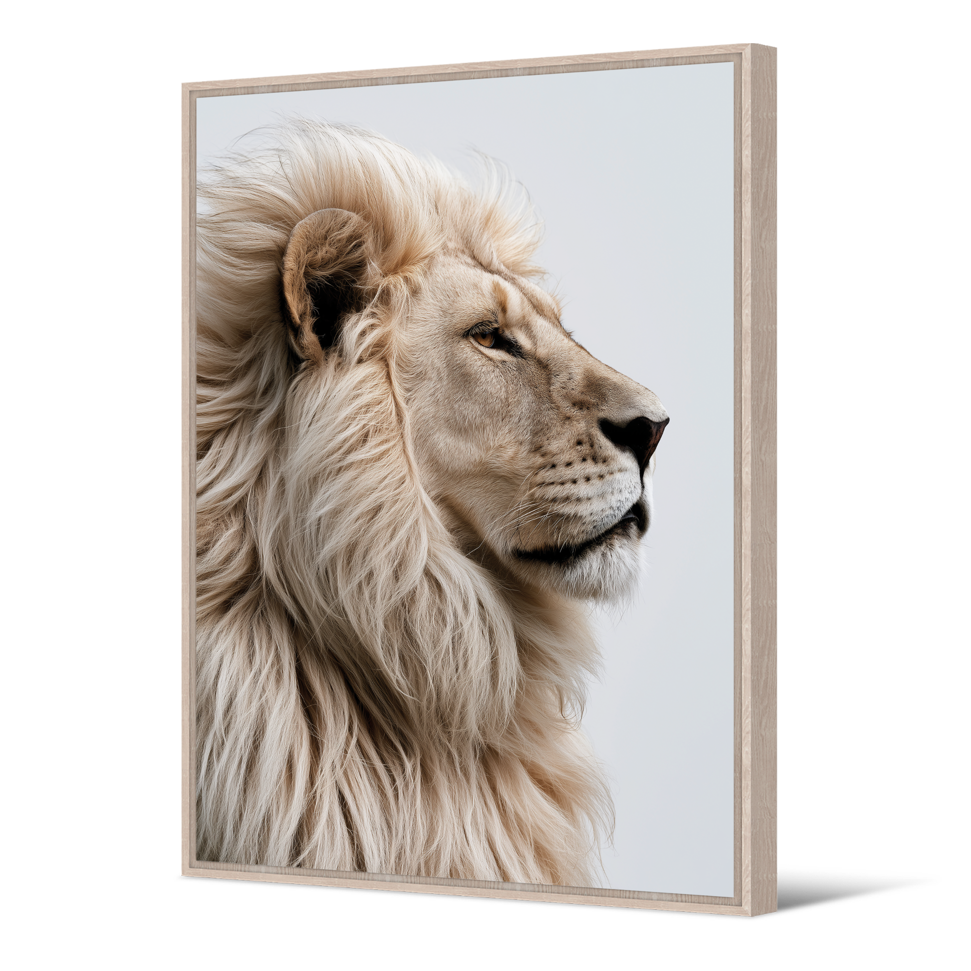 Tableau Aslan