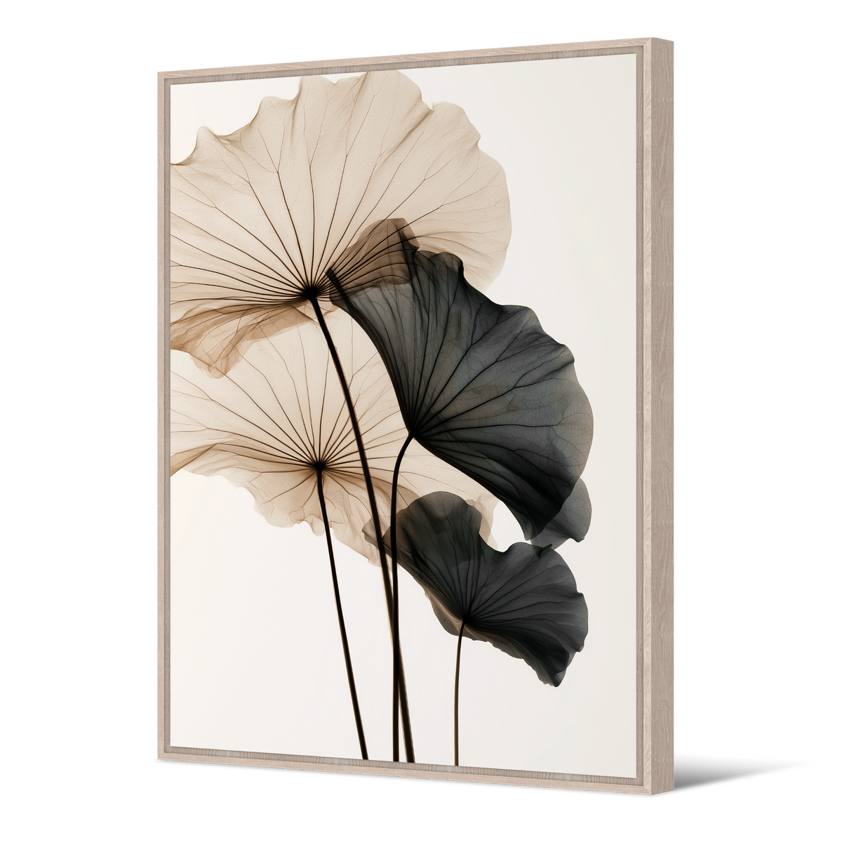 Tableau Nucifera