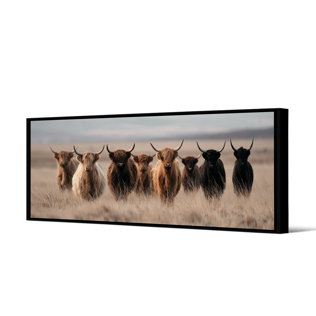 Tableau Cattle