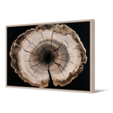 Tableau Angelim