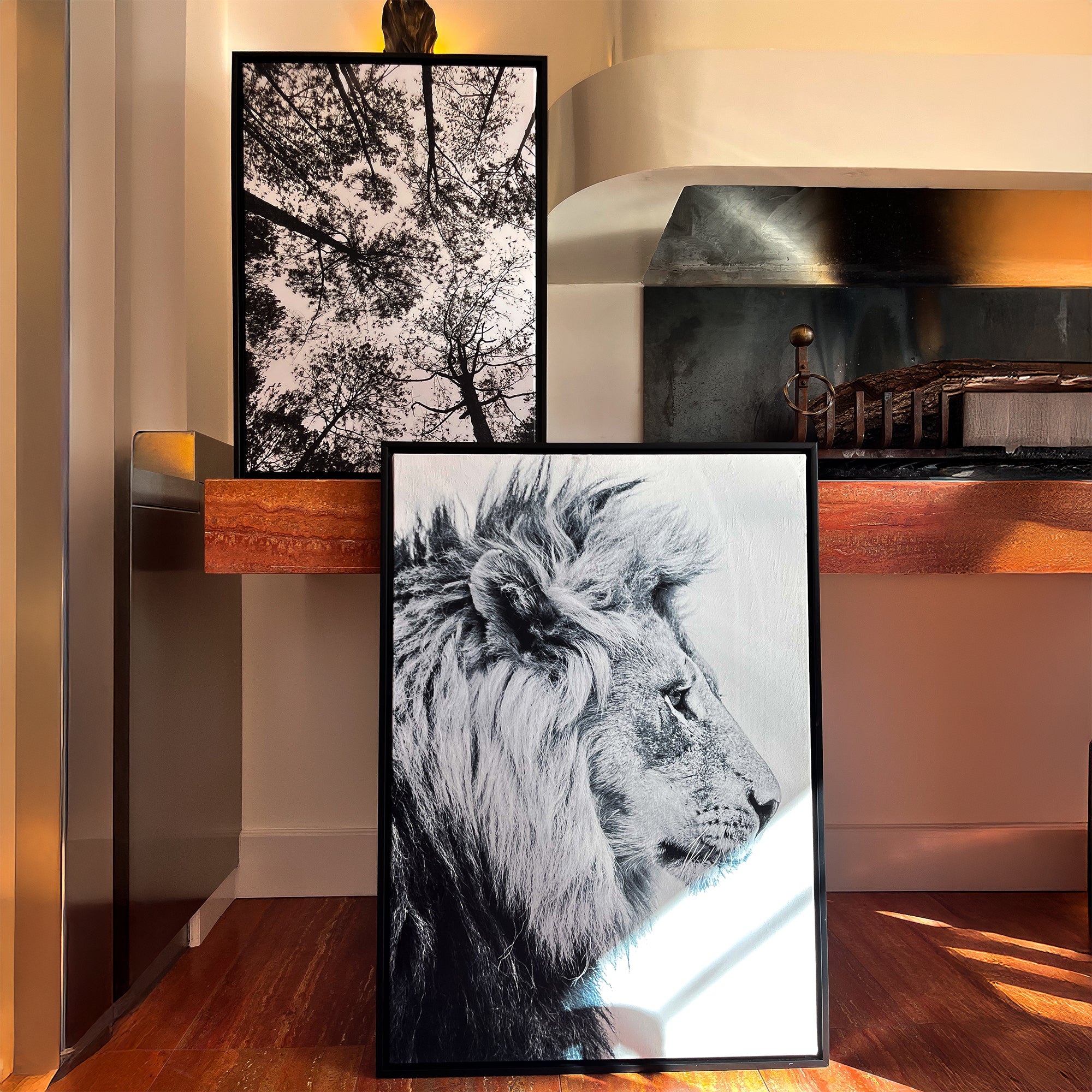 Tableau Canopee
