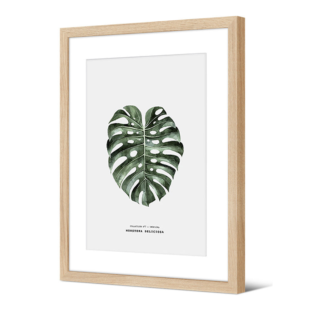 Framed Picture Monstera