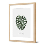 Image encadrée en papier — modèle Monstera