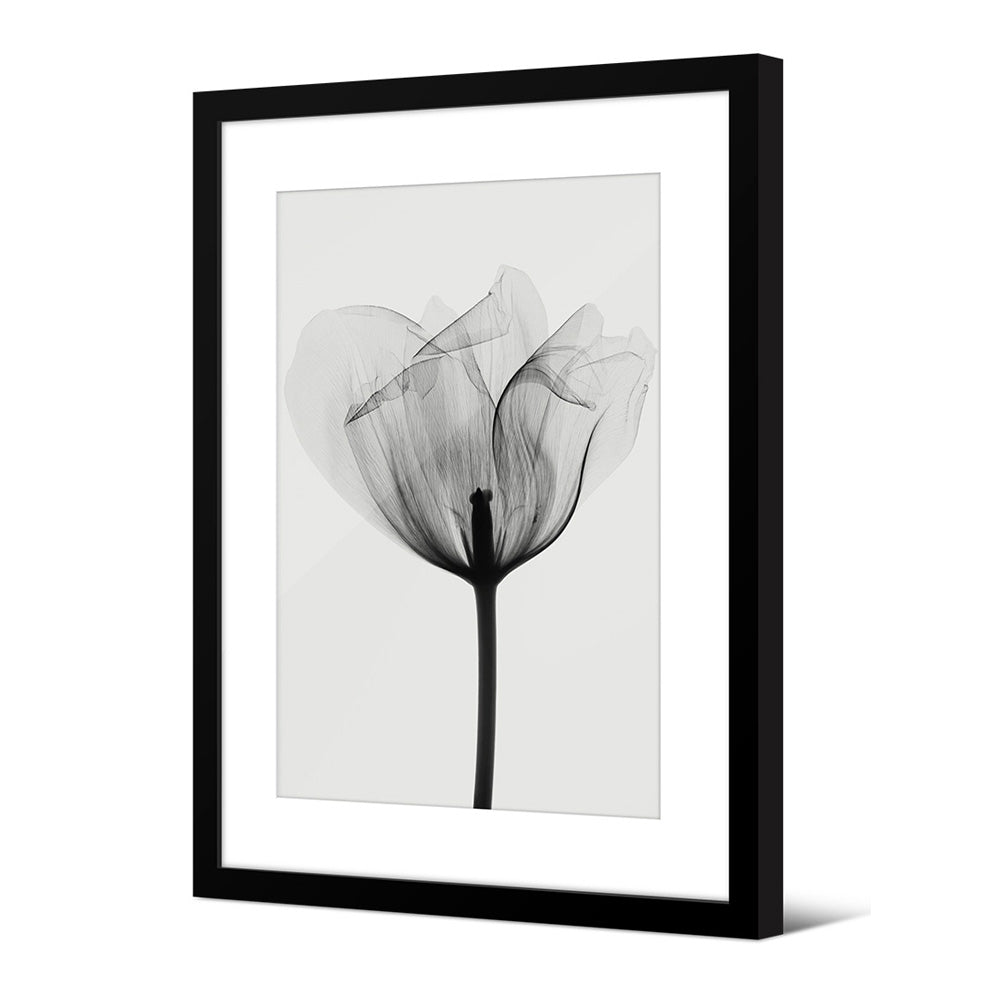 Framed picture Belas