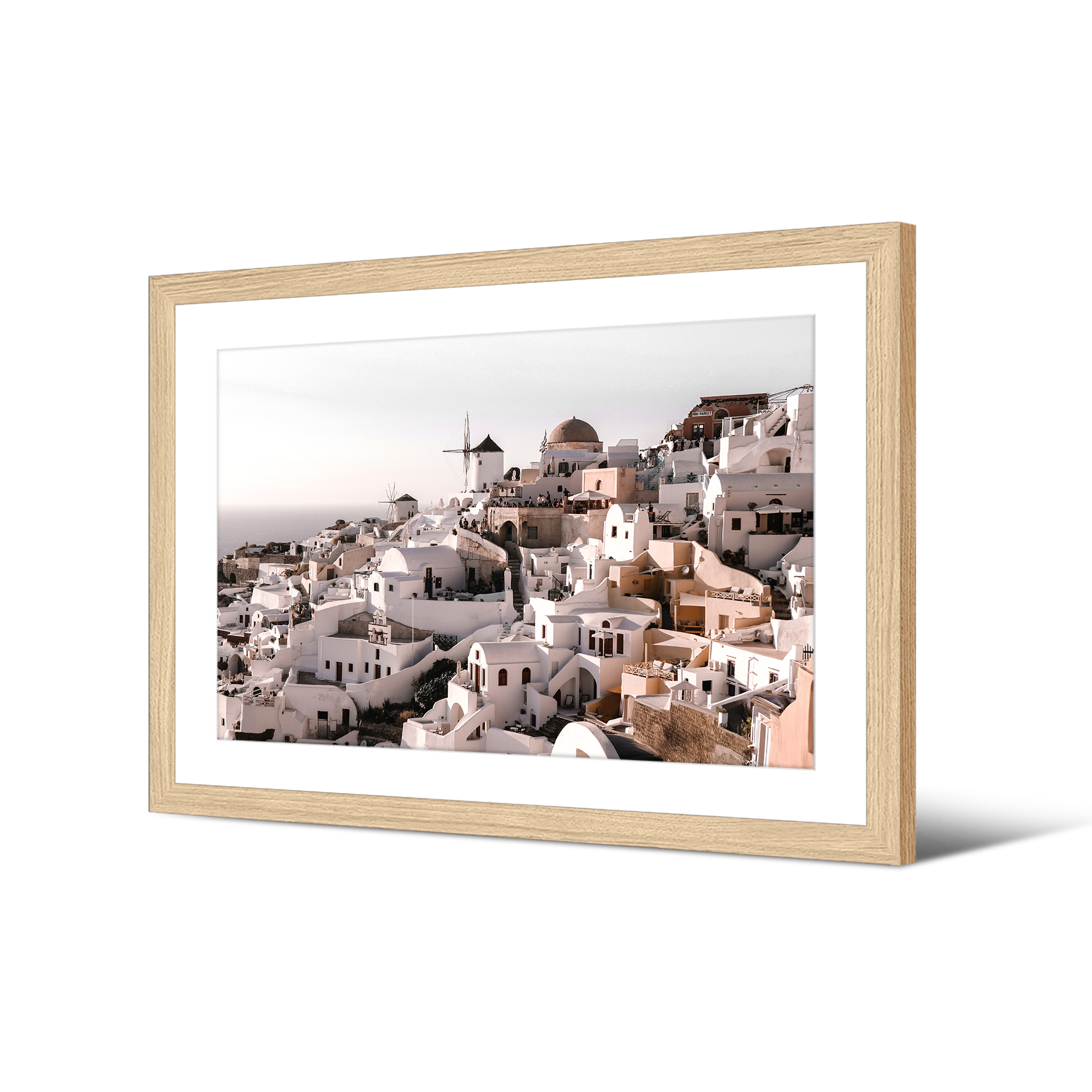 Image encadrée Xotrocharis