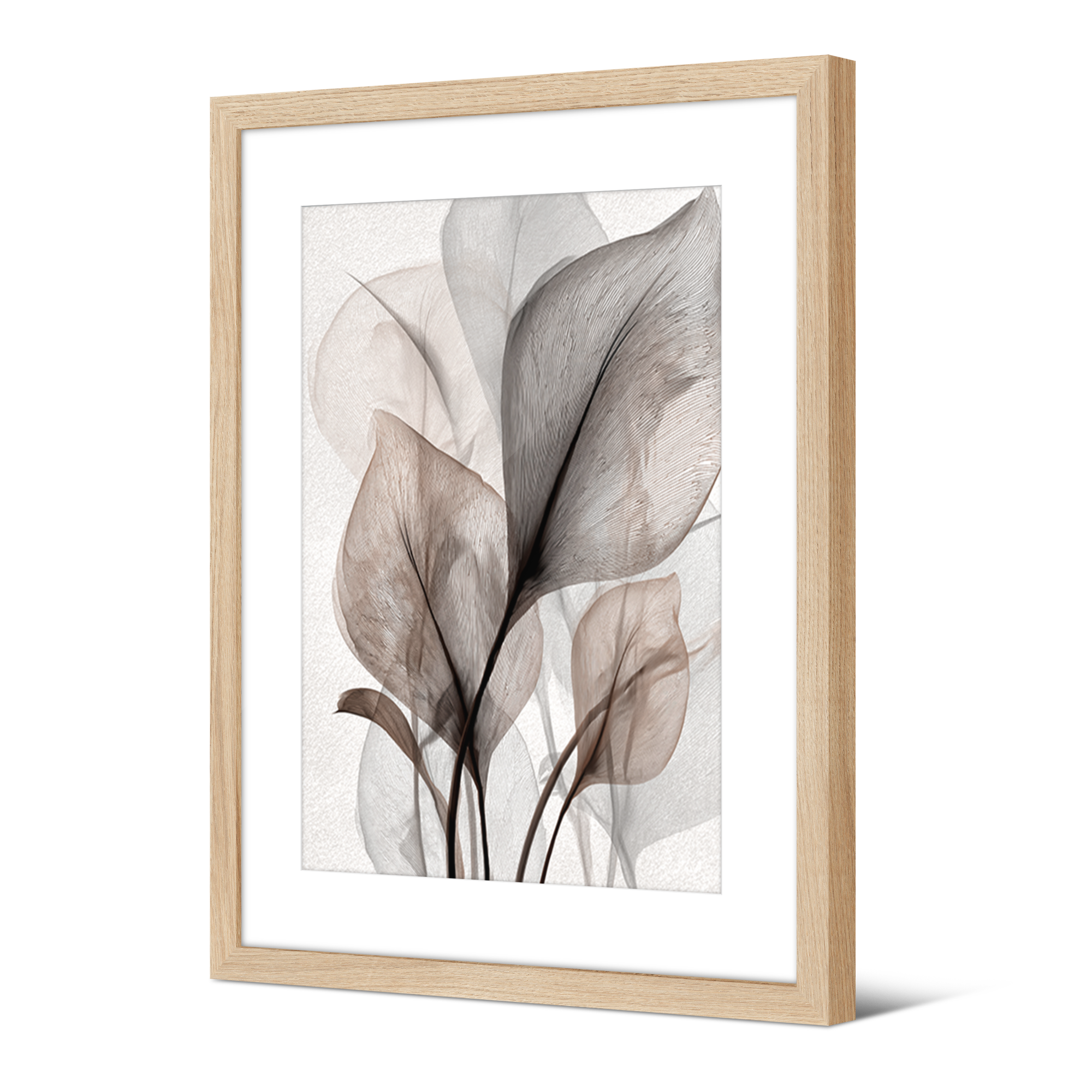 Image encadrée Karela