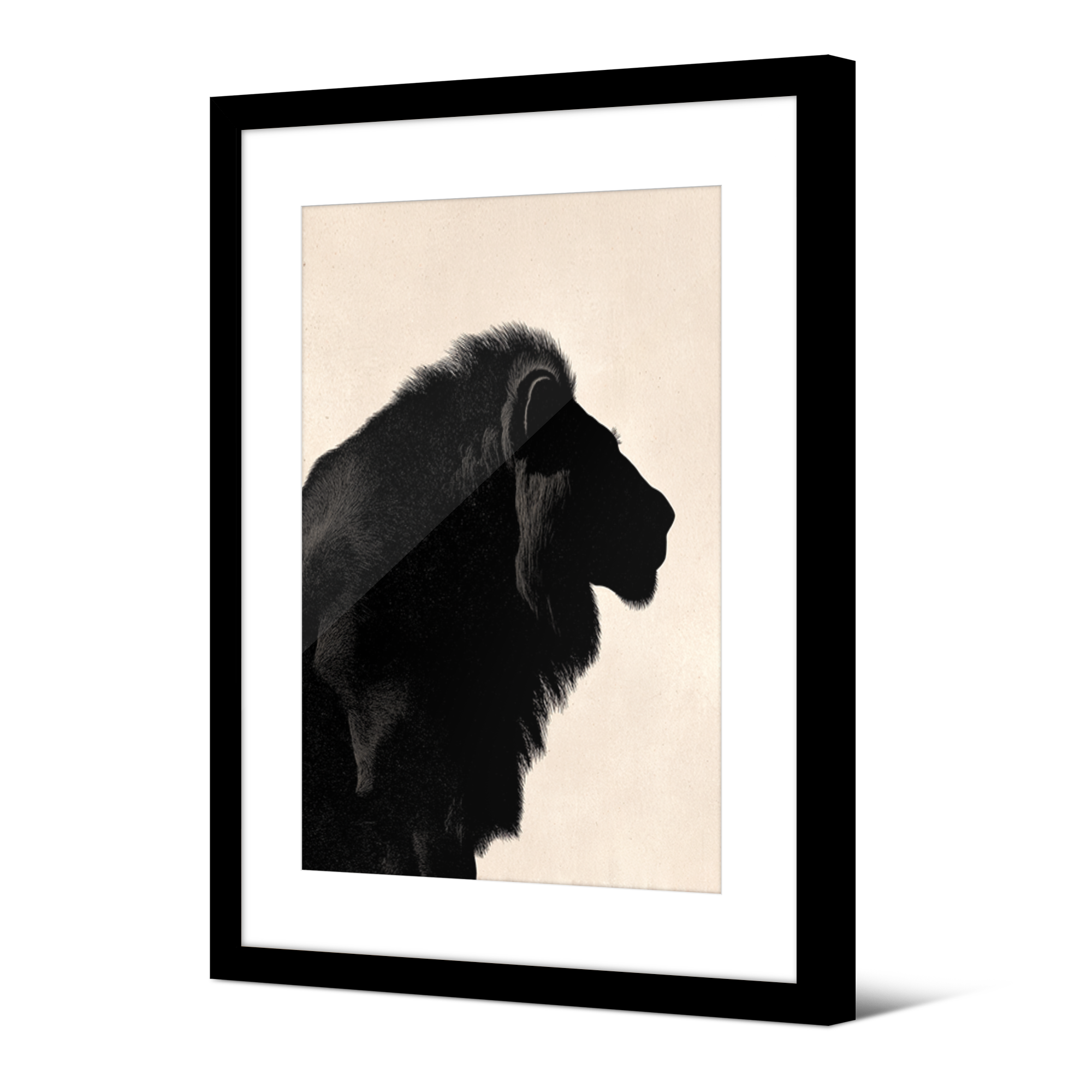 Image encadrée Dewanee