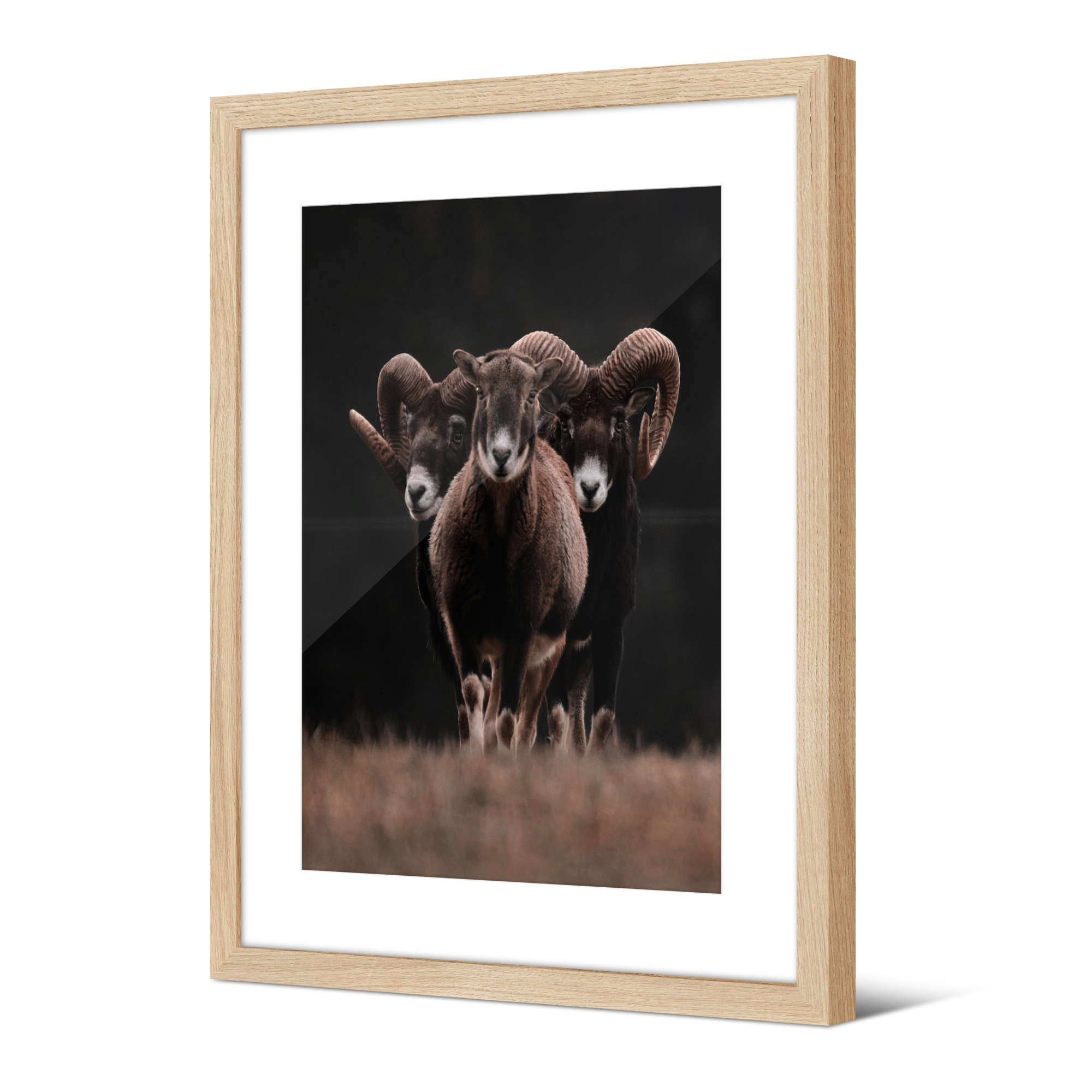 Framed picture Japan