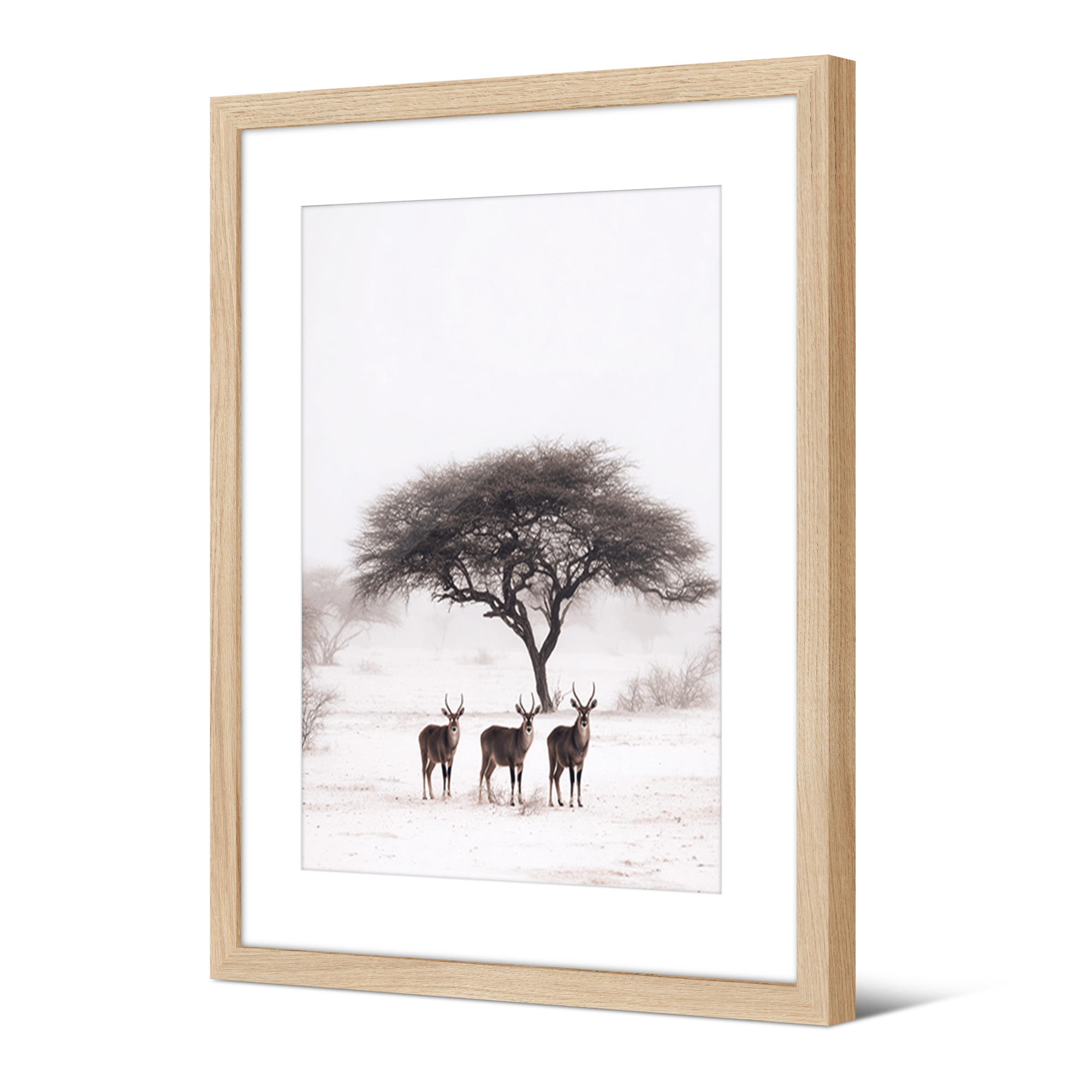 Framed picture Japan