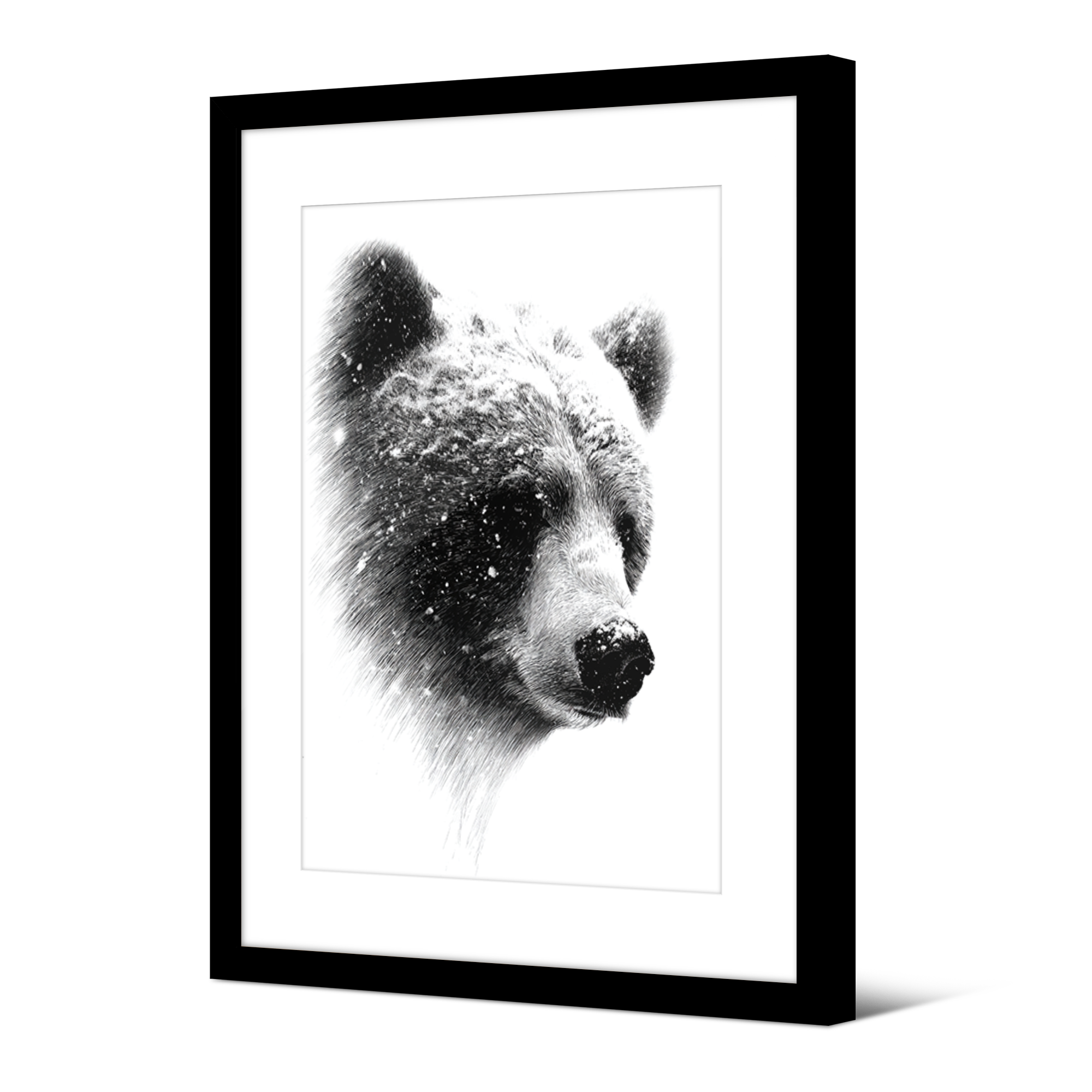 Framed picture Japan