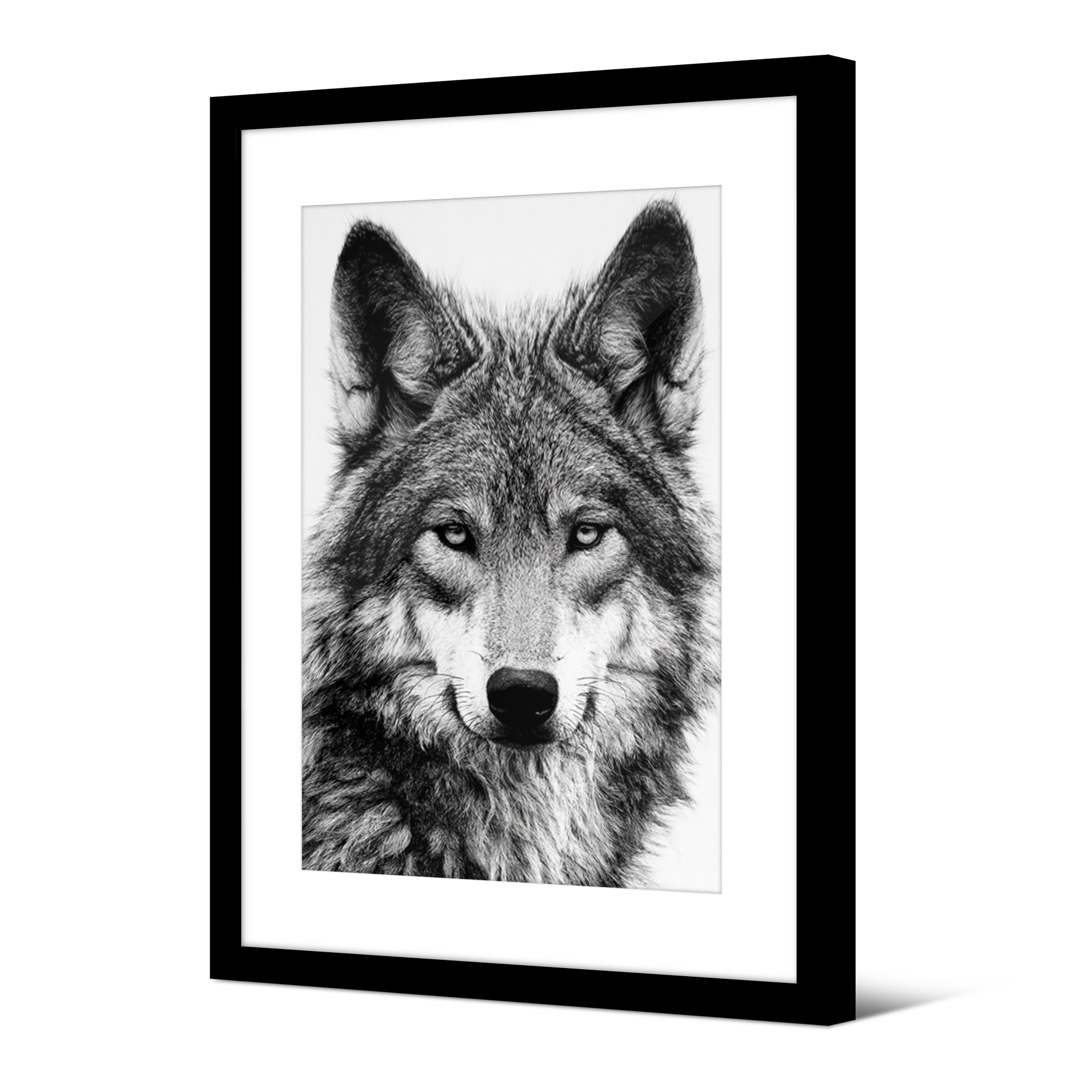 Framed picture Japan