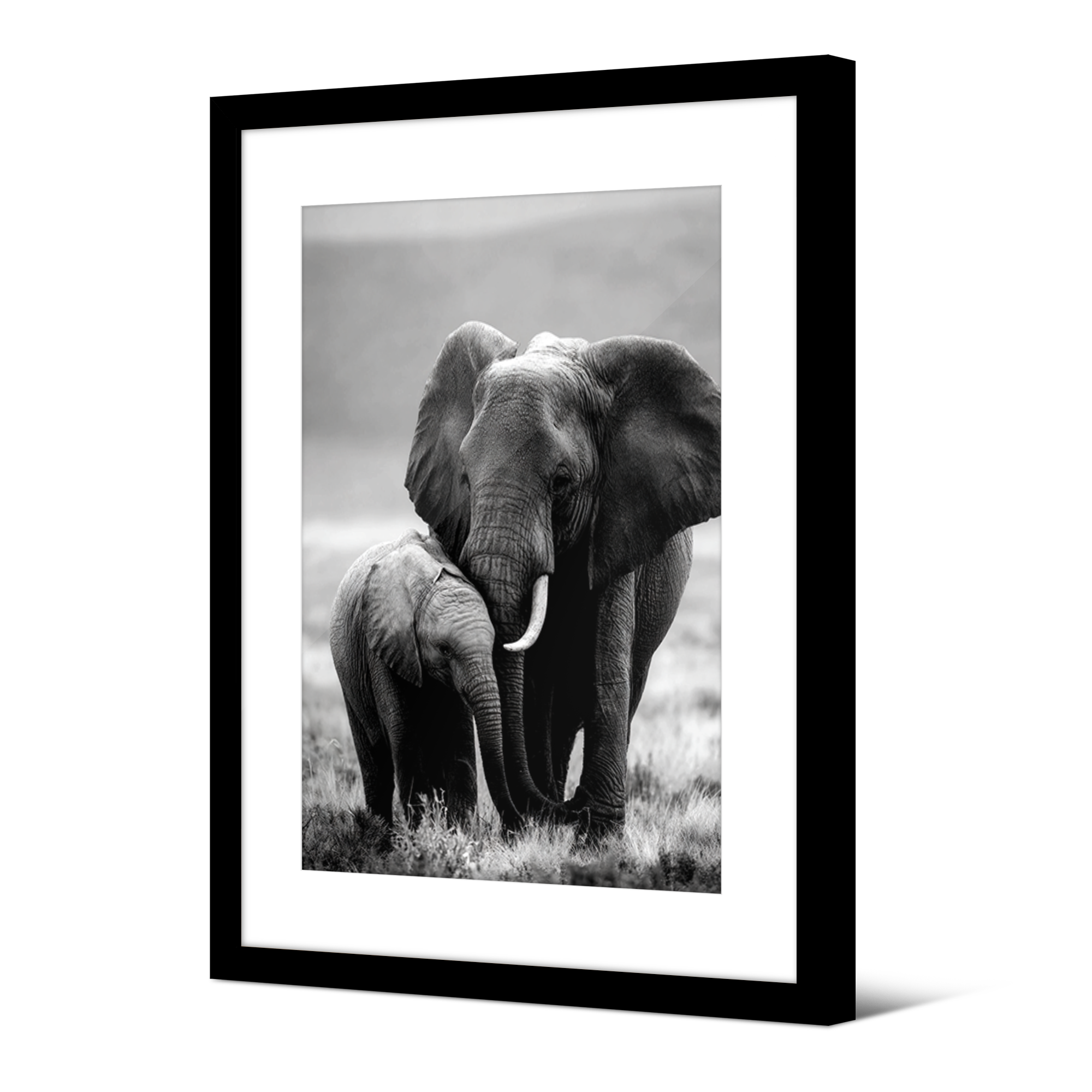 Framed picture Japan