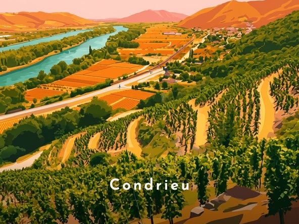 Vignoble en terrasses sur le Rhône — Pôdevache, visuel seul