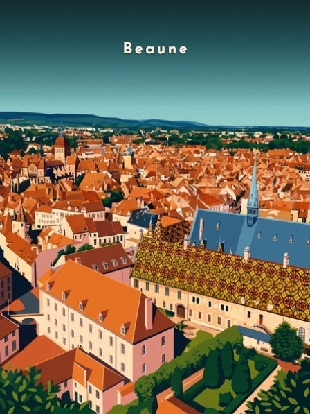 Vue panoramique sur l'Hôtel-Dieu — Pôdevache, visuel seul