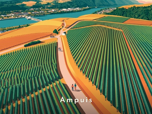 Vignoble de Côte-Rôtie — Pôdevache, visuel seul