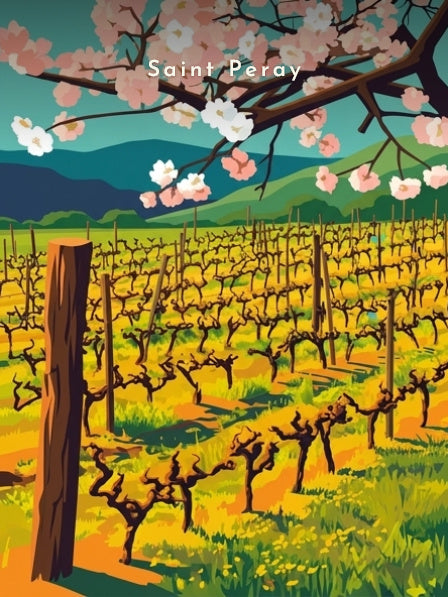 Le vignoble au printemps — Pôdevache, visuel seul