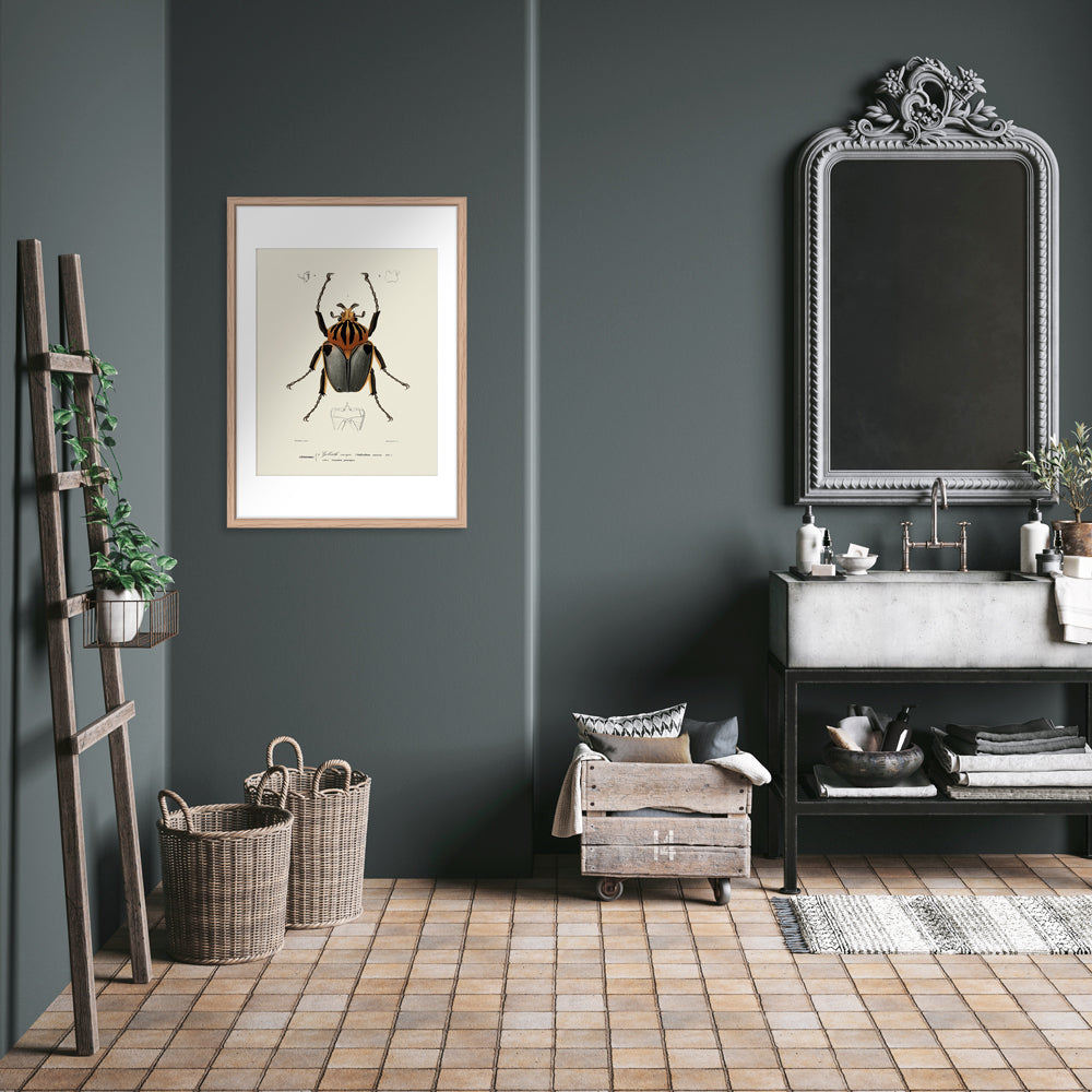 Framed Picture Royal Beetle