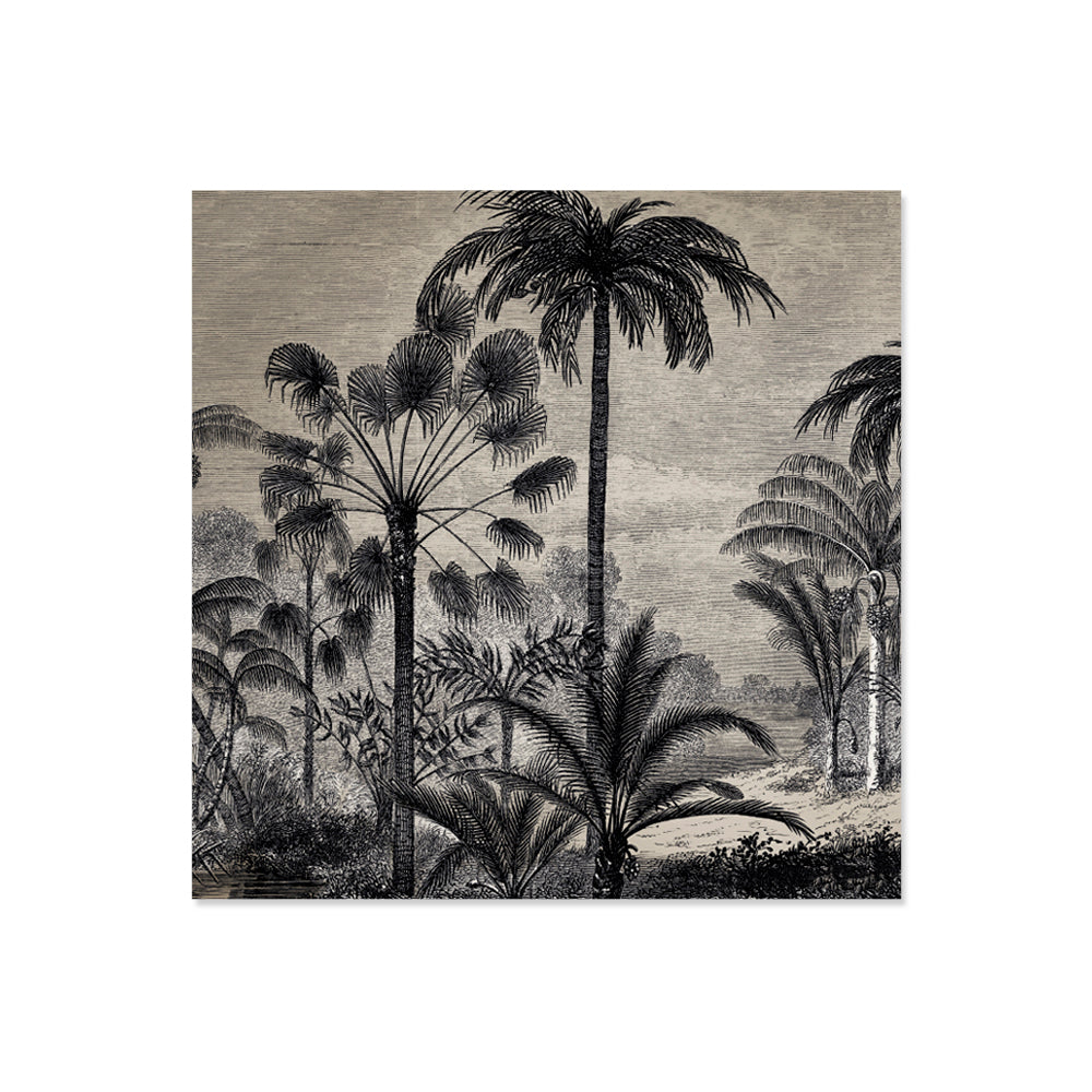 Set of 6 Amazonia vinyl coasters