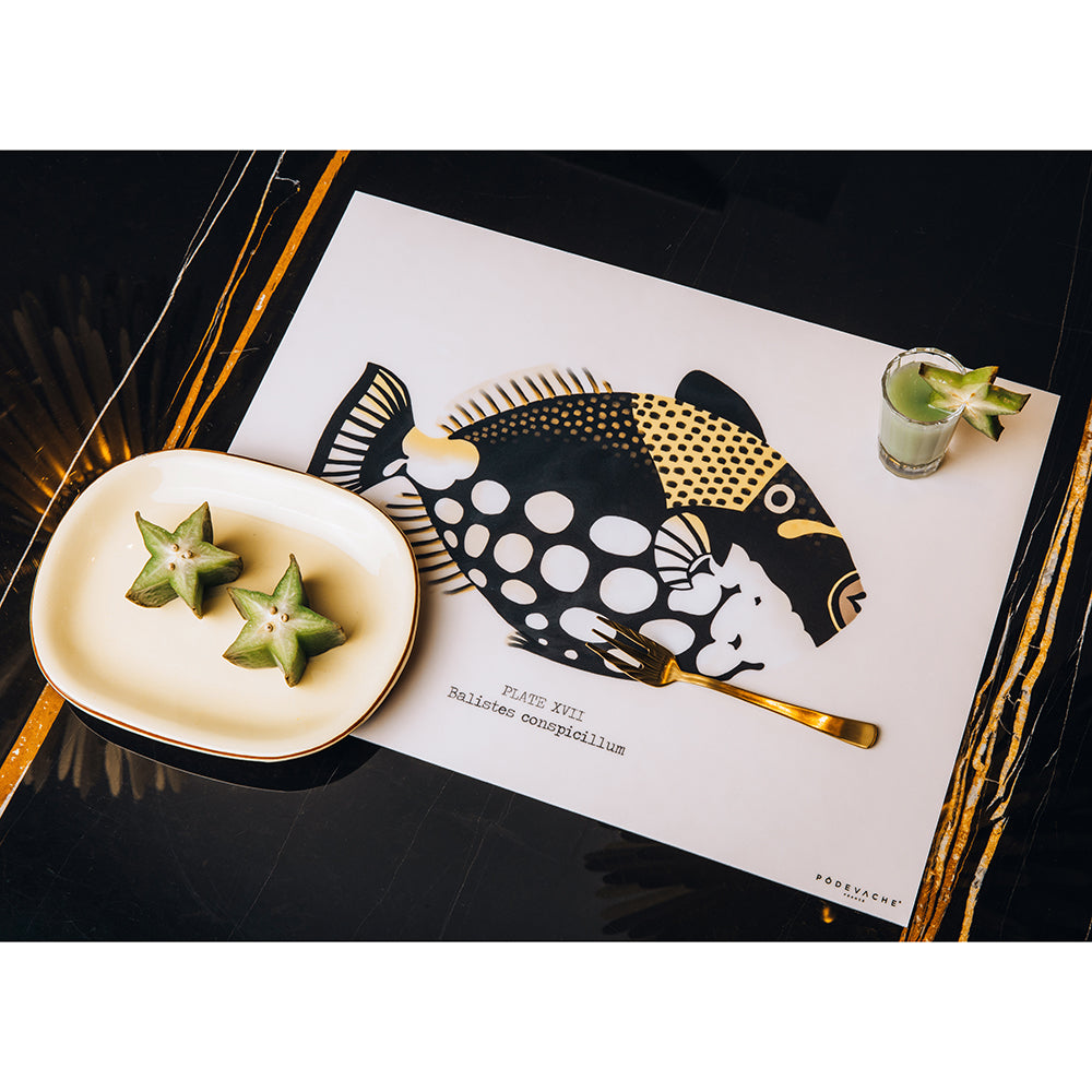 Jobo vinyl placemat