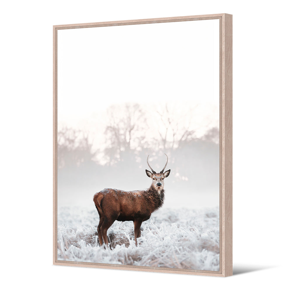Winter Deer Painting