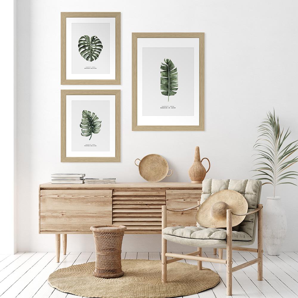 Framed Picture Monstera